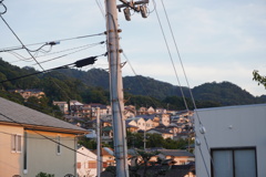蜘蛛の糸