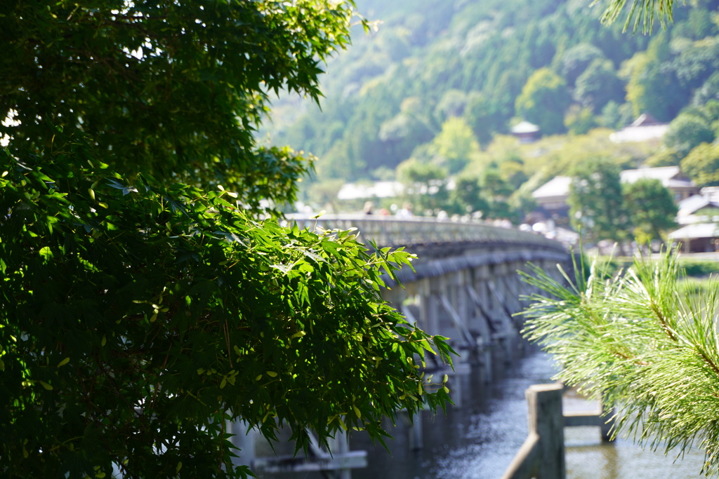 山紫水明