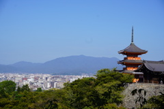 雅