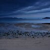 2022.12  大浜動物病院前_00001