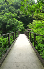 橋