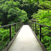 橋