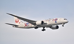 飛行機