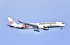 飛行機