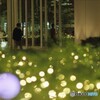 イルミネーション