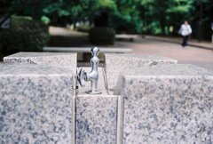 昼下がりの公園 水飲み場