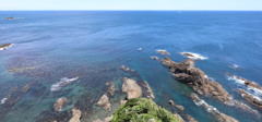 海