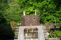 顔