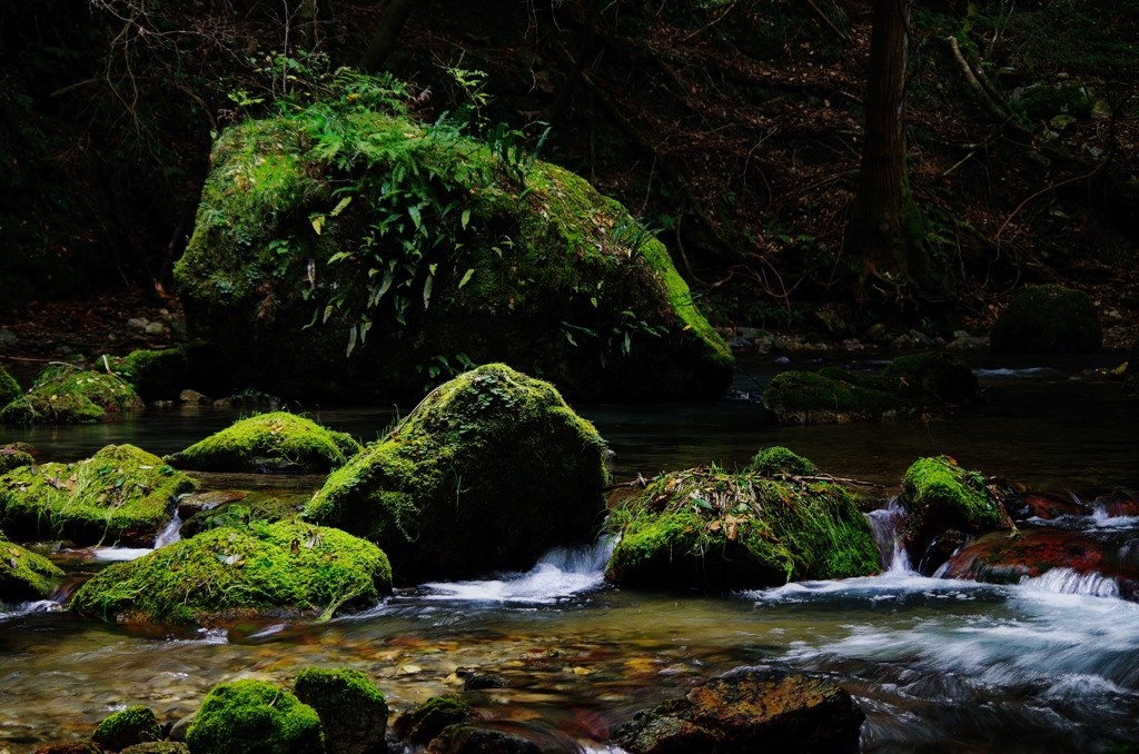 苔むす岩と岩
