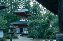 柳生の故郷に聳える