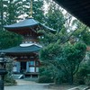 柳生の故郷に聳える
