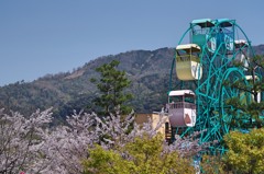 動物園から臨む大文字山