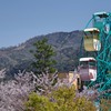動物園から臨む大文字山