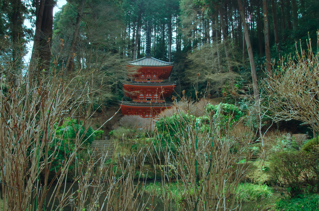 早春の三重塔