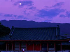 月が照らす神宮