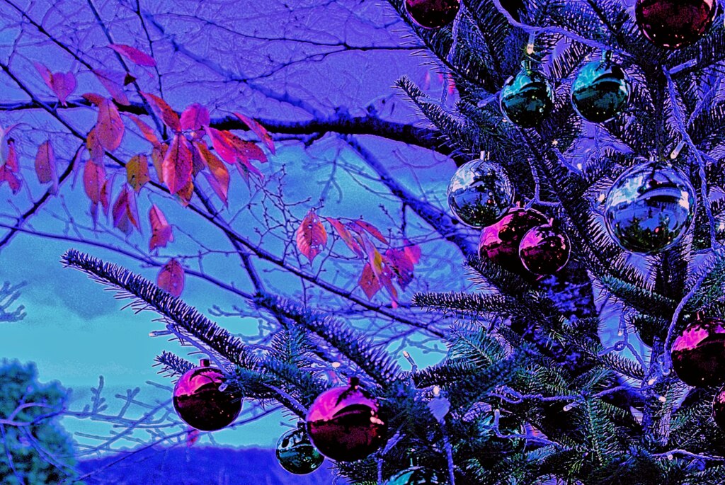  紅葉の葉とクリスマスツリー