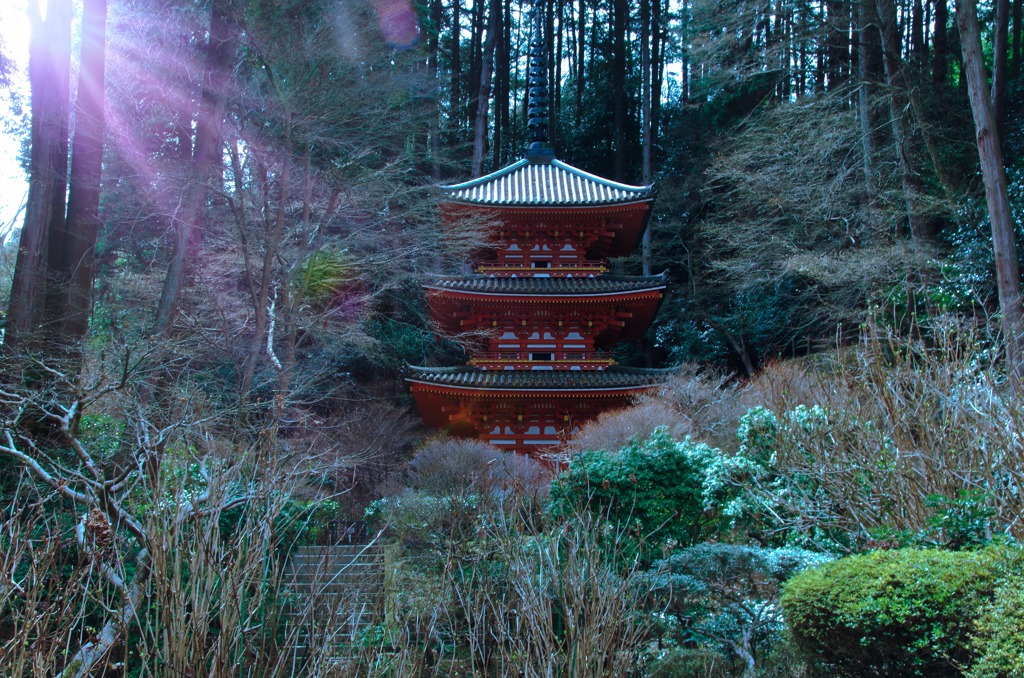 輝く塔