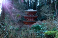 輝く塔