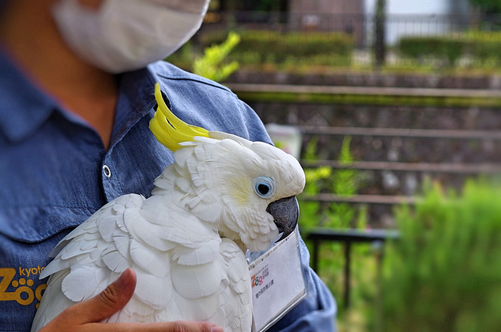 甘えん坊