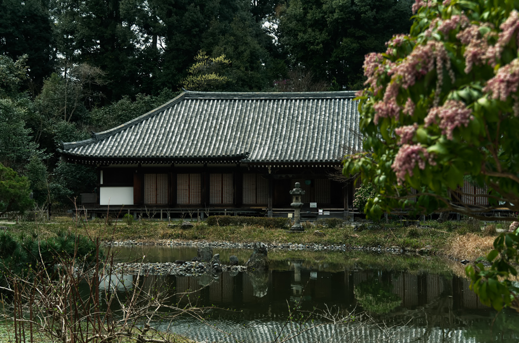水鏡が映し出す風景