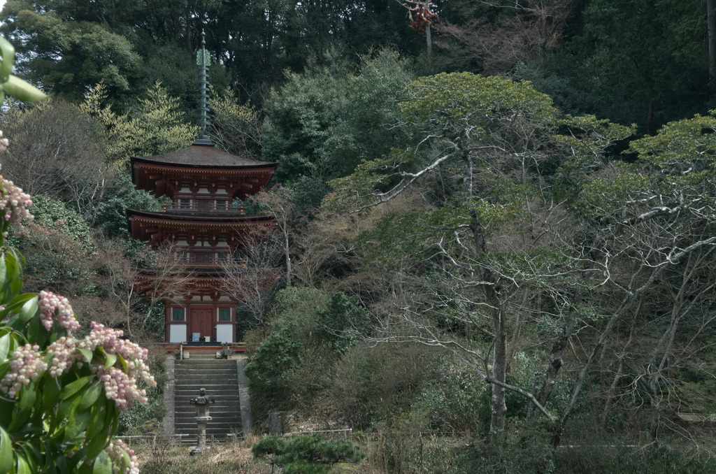 初春の浄瑠璃寺