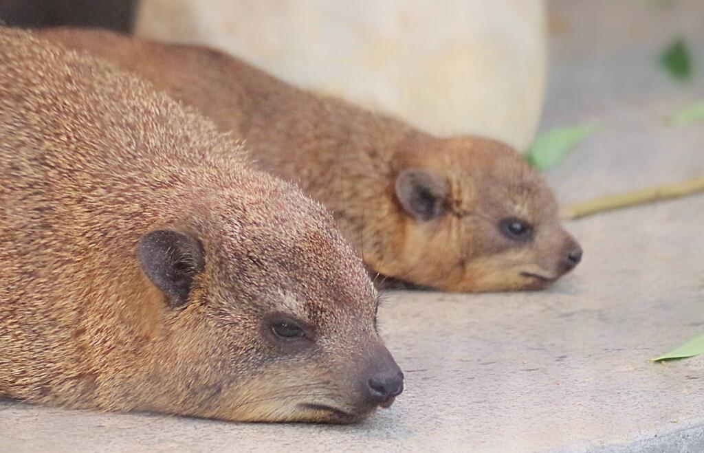 うーん　疲れた