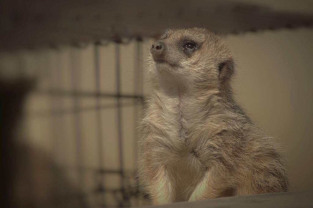 ひとりでさみしいな