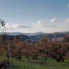 明日香村を展望