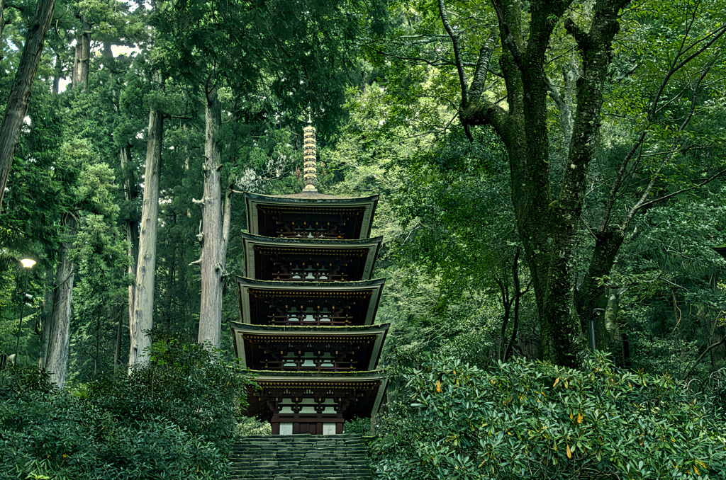 孤高の塔