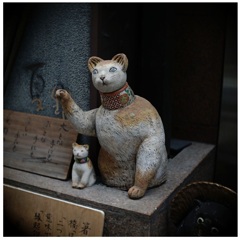 クラッシックな猫