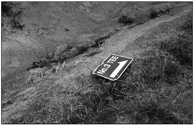 終わってしまった。