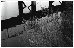 運河(Film)