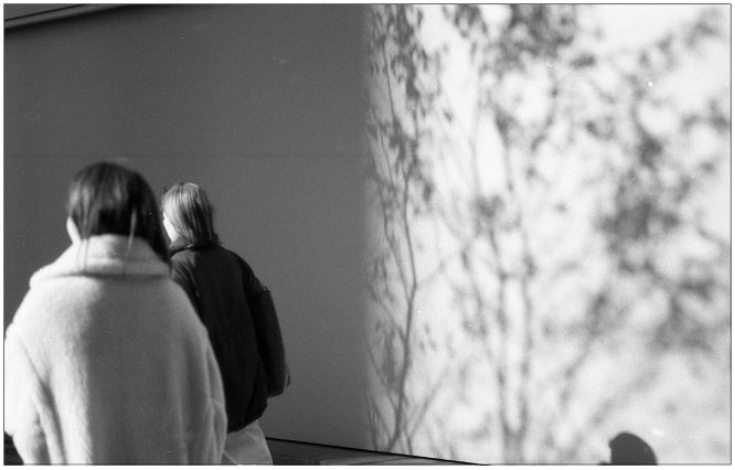 暮れの頃　(film)