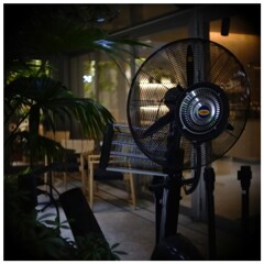 撮らずにいられません。
