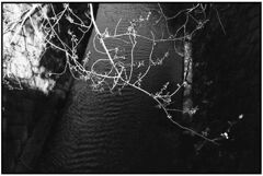 春はそこまで・・　　（film)