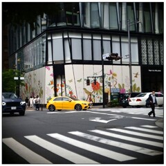 黄色の車来ないかな？