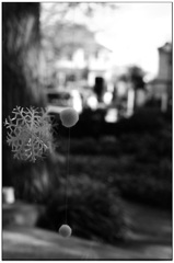 Christmas Eve by the Window