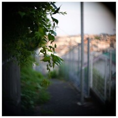 早起きは三文の得
