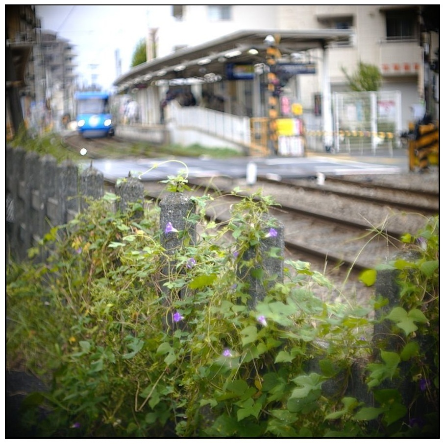 ♪