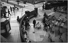 As you like it　(film)