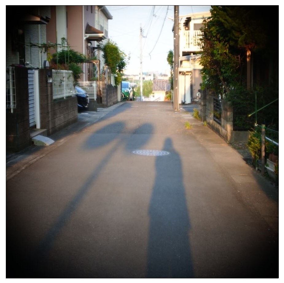 早朝の散歩