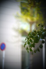 一休みしたカフェから