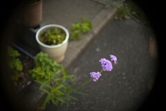 もう絶対これっきり・・
