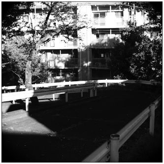 ご近所風景　（その２）