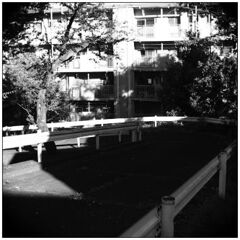 ご近所風景　（その２）