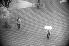 雨の季節