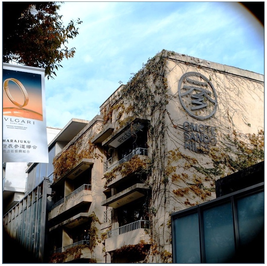 私が時々、此処に行きたくなる訳