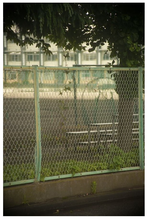 高校時代