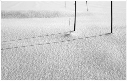 昨夜雪がふりました。