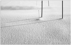 昨夜雪がふりました。